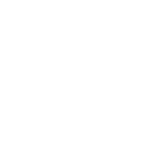 PJS Services rev